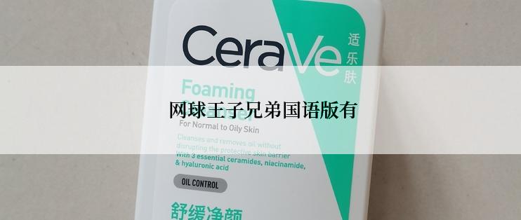  网球王子兄弟国语版有