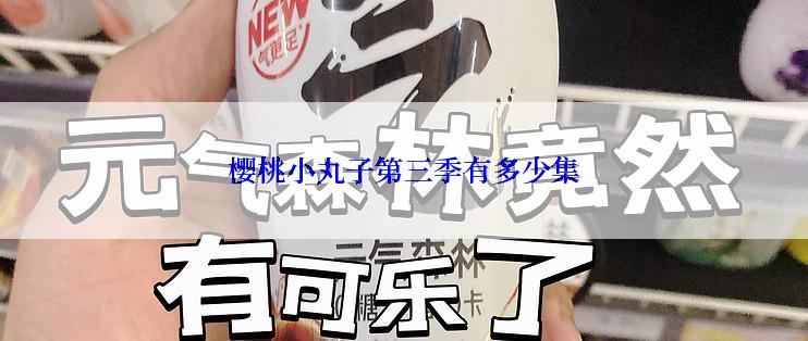 樱桃小丸子第三季有多少集