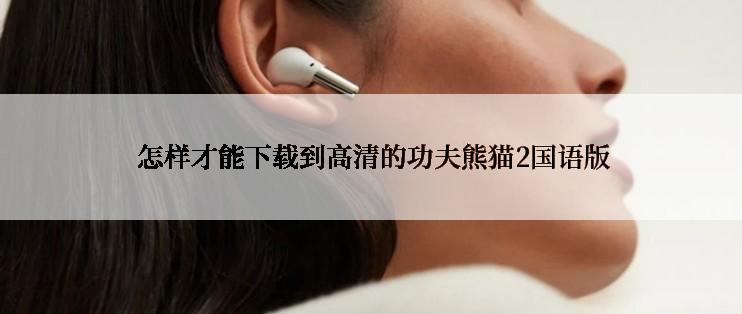  怎样才能下载到高清的功夫熊猫2国语版