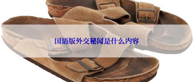 国语版外交秘闻是什么内容