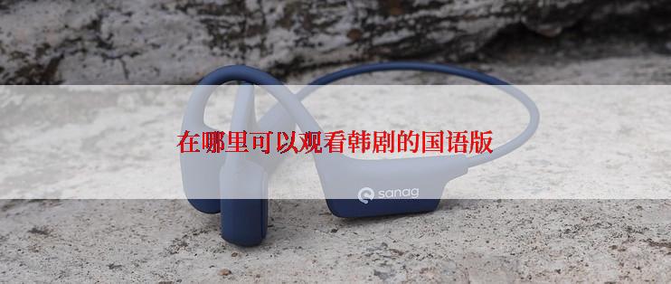在哪里可以观看韩剧的国语版