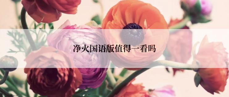 净火国语版值得一看吗