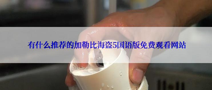  有什么推荐的加勒比海盗5国语版免费观看网站