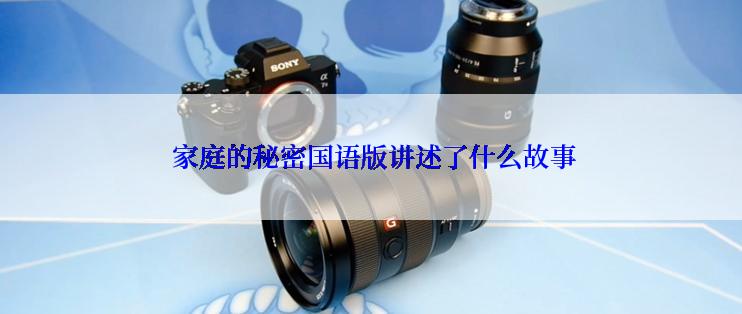  家庭的秘密国语版讲述了什么故事