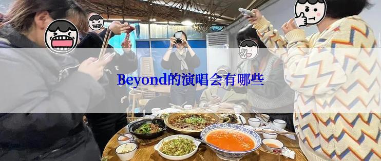 Beyond的演唱会有哪些