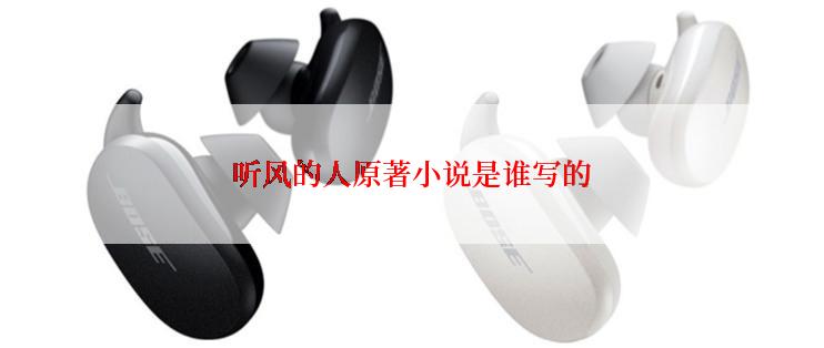 听风的人原著小说是谁写的
