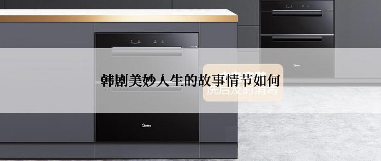 韩剧美妙人生的故事情节如何