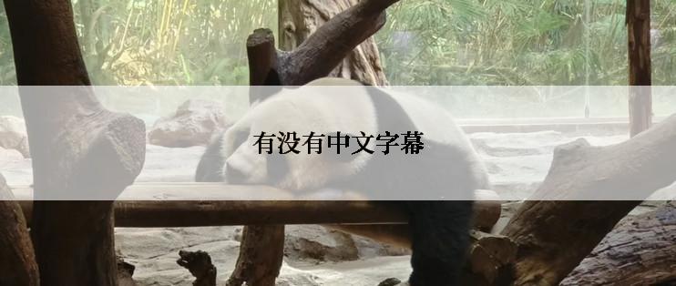 有没有中文字幕