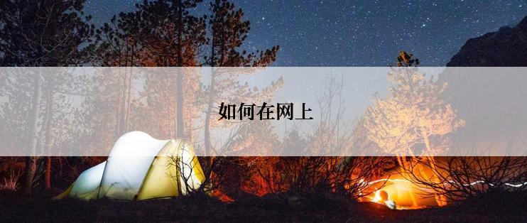  如何在网上