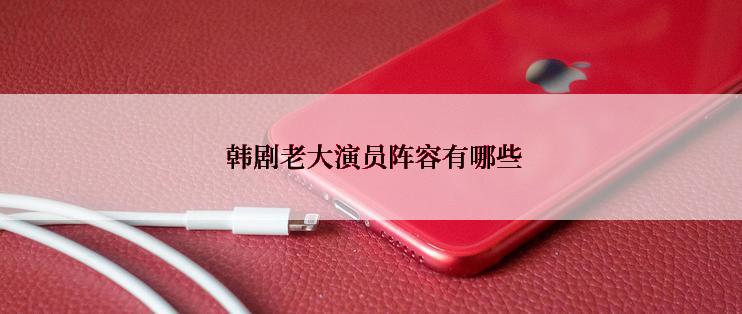  韩剧老大演员阵容有哪些