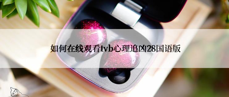  如何在线观看tvb心理追凶28国语版