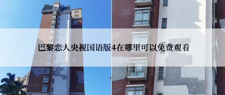  巴黎恋人央视国语版4在哪里可以免费观看