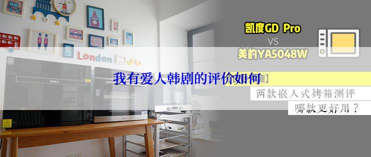  我有爱人韩剧的评价如何