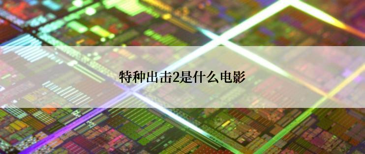 特种出击2是什么电影