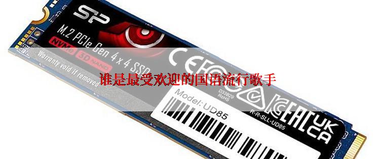 谁是最受欢迎的国语流行歌手
