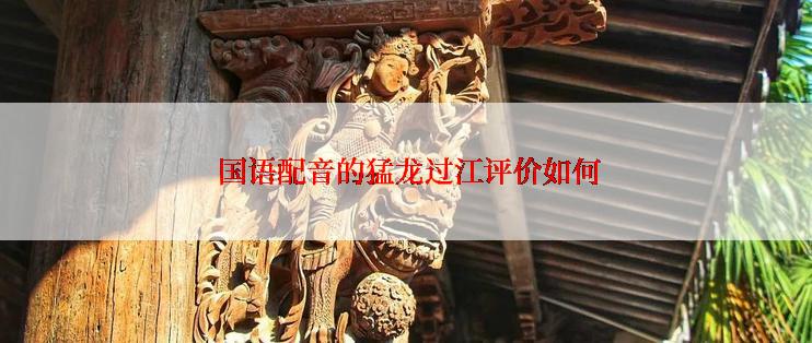 国语配音的猛龙过江评价如何
