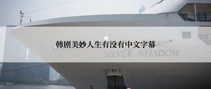 韩剧美妙人生有没有中文字幕