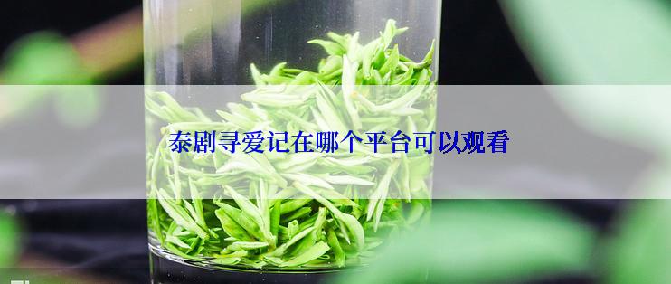 泰剧寻爱记在哪个平台可以观看