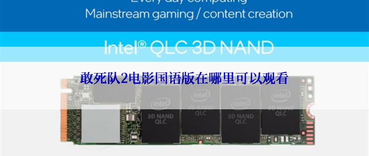 敢死队2电影国语版在哪里可以观看