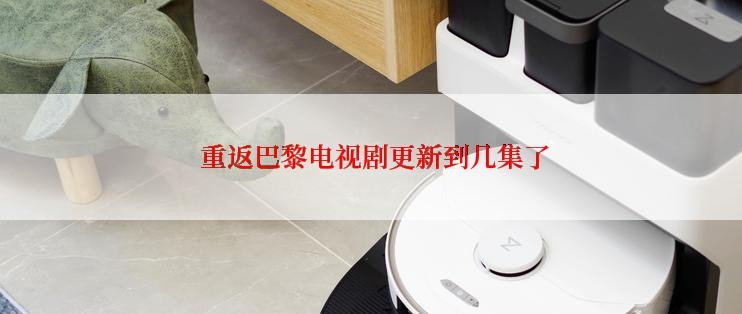 重返巴黎电视剧更新到几集了