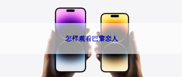 怎样观看巴黎恋人