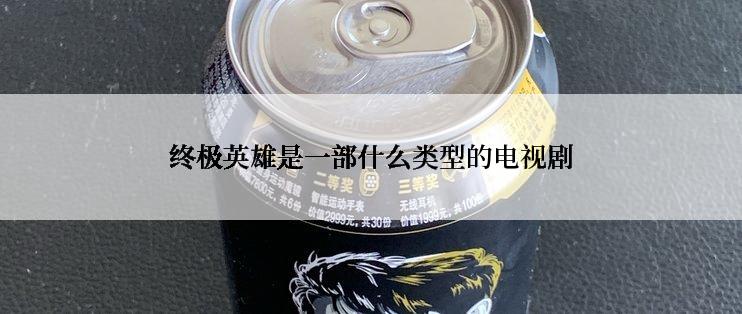 终极英雄是一部什么类型的电视剧