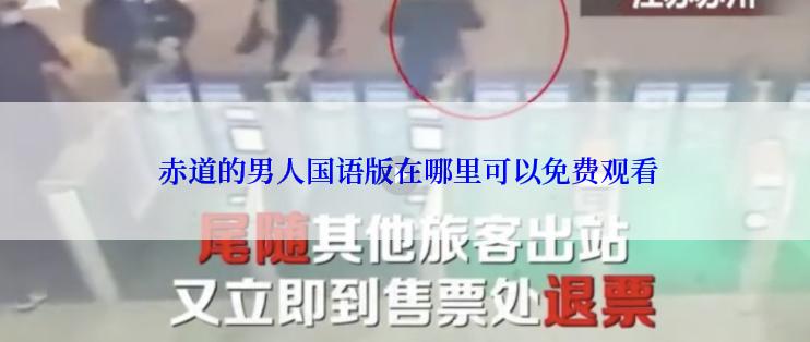  赤道的男人国语版在哪里可以免费观看