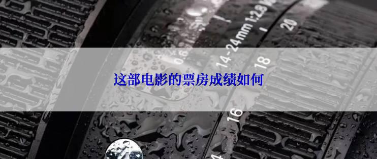 这部电影的票房成绩如何