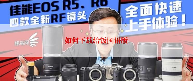 如何下载给饭国语版