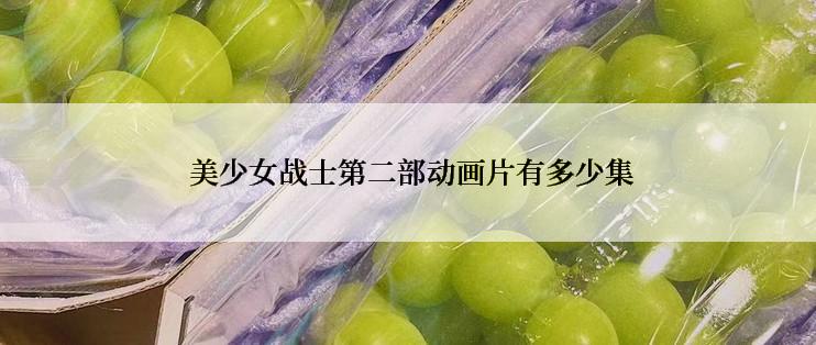  美少女战士第二部动画片有多少集