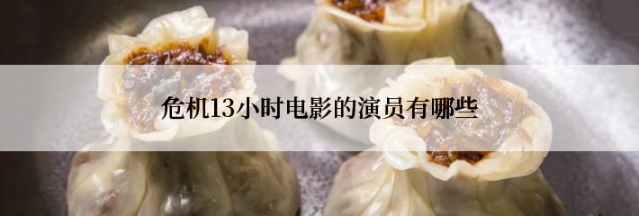 危机13小时电影的演员有哪些