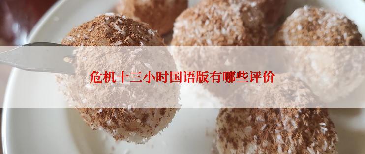 危机十三小时国语版有哪些评价