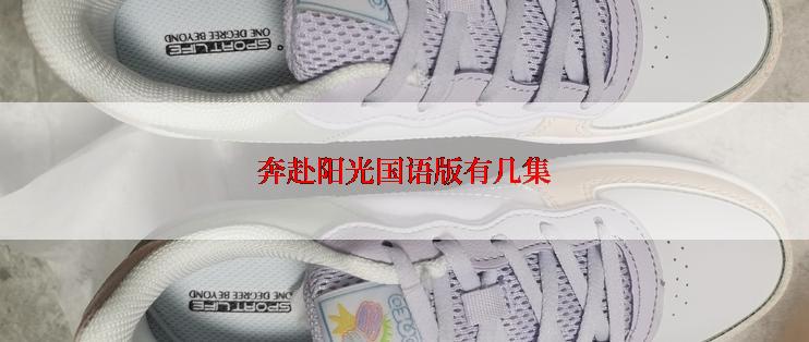 奔赴阳光国语版有几集