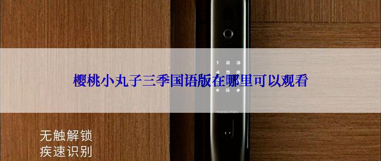 樱桃小丸子三季国语版在哪里可以观看