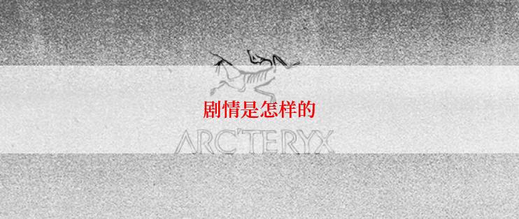 剧情是怎样的