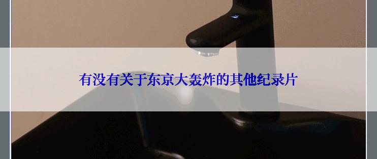 有没有关于东京大轰炸的其他纪录片