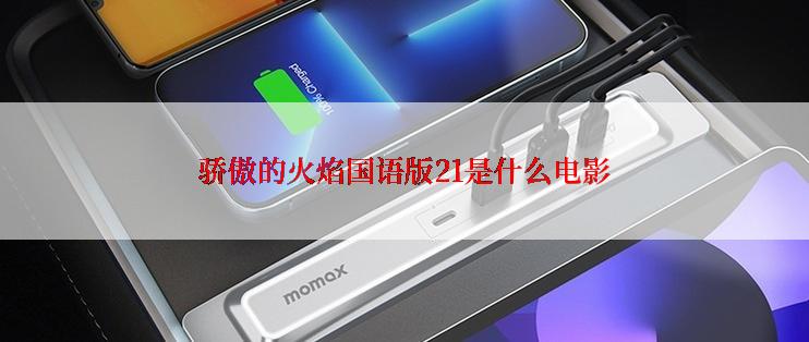 骄傲的火焰国语版21是什么电影