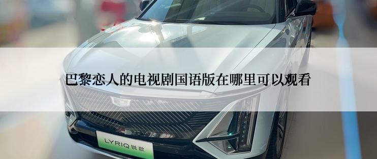 巴黎恋人的电视剧国语版在哪里可以观看