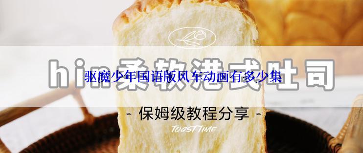  驱魔少年国语版风车动画有多少集