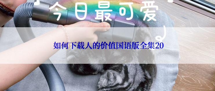  如何下载人的价值国语版全集20