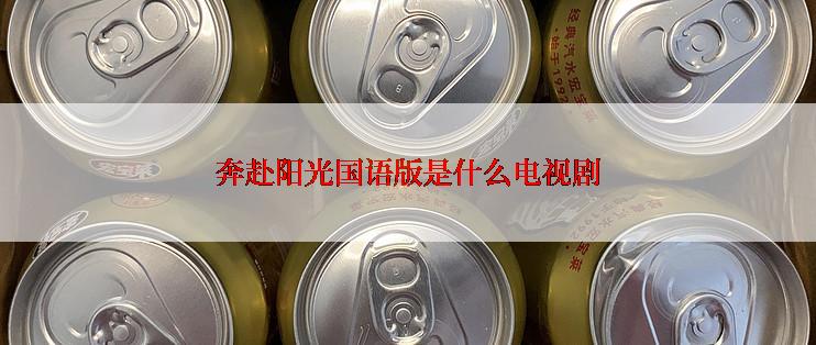 奔赴阳光国语版是什么电视剧