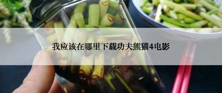 我应该在哪里下载功夫熊猫4电影