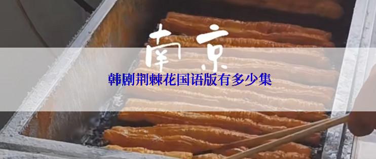  韩剧荆棘花国语版有多少集