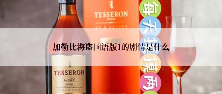 加勒比海盗国语版1的剧情是什么