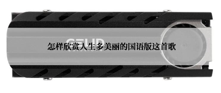  怎样欣赏人生多美丽的国语版这首歌