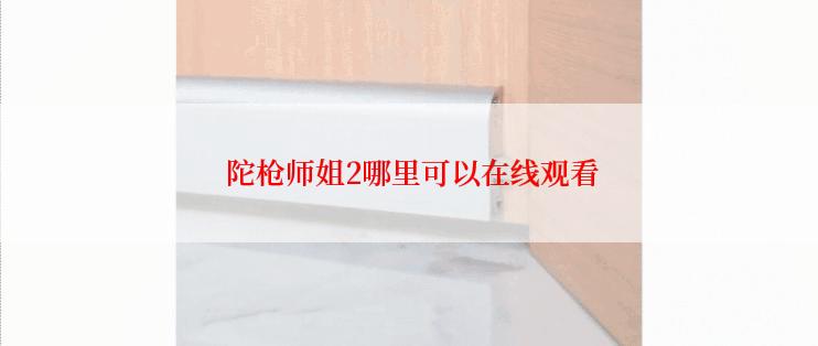  陀枪师姐2哪里可以在线观看