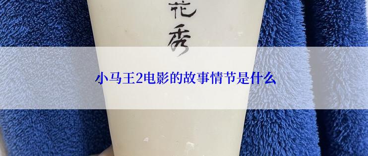  小马王2电影的故事情节是什么