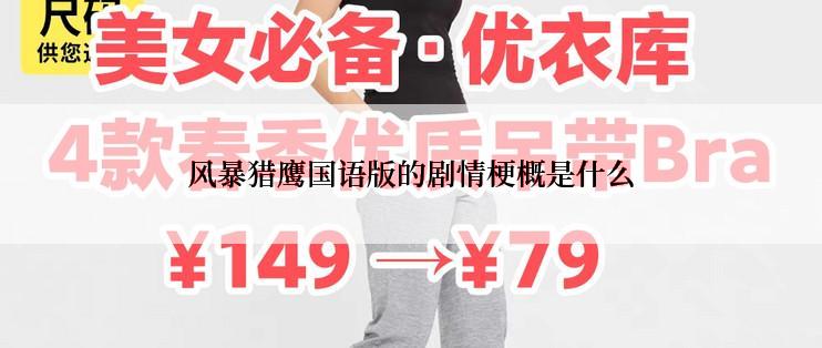 风暴猎鹰国语版的剧情梗概是什么