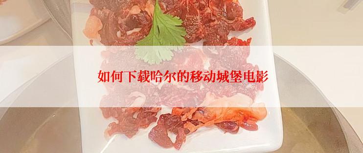  如何下载哈尔的移动城堡电影