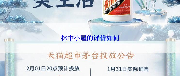 林中小屋的评价如何